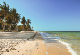 14 dias em Moçambique